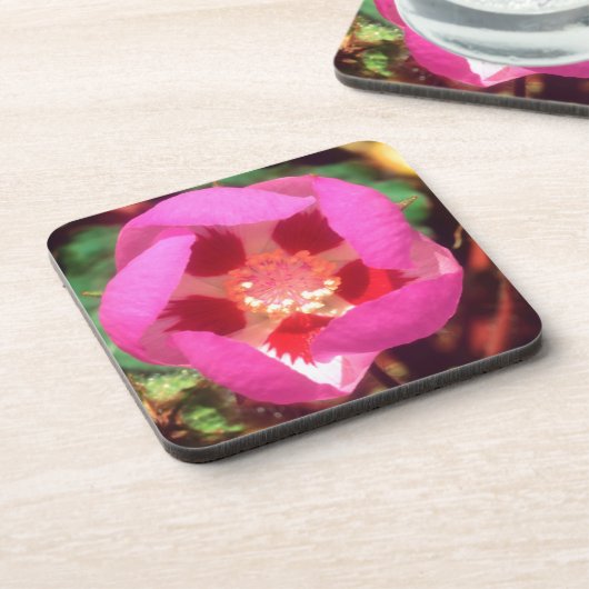 Dessous-de-verre Fleur sauvage Desert Five Spot (Côté gauche)