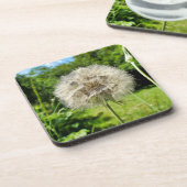 Dessous-de-verre Fleur sauvage Goatsbeard (Côté gauche)