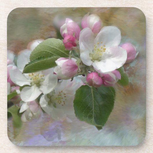 Dessous-de-verre Fleurit de l'arbre Apple (Devant)