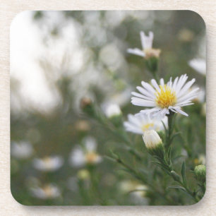 Dessous-de-verre Fleurs