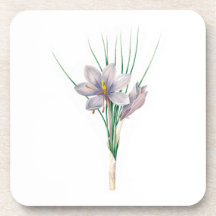 Fleurs : A007 Crocus d'automne -