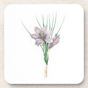Dessous-de-verre Fleurs : A007 Crocus d'automne -