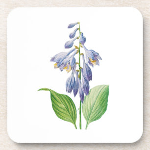 Dessous-de-verre Fleurs : A012 Daylily -