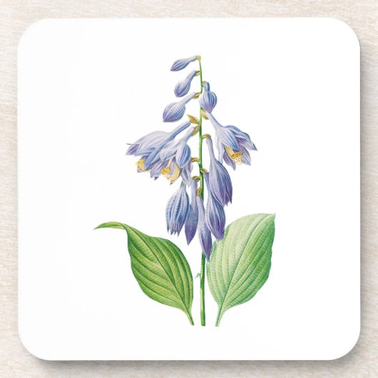 Dessous-de-verre Fleurs : A012 Daylily - (Devant)