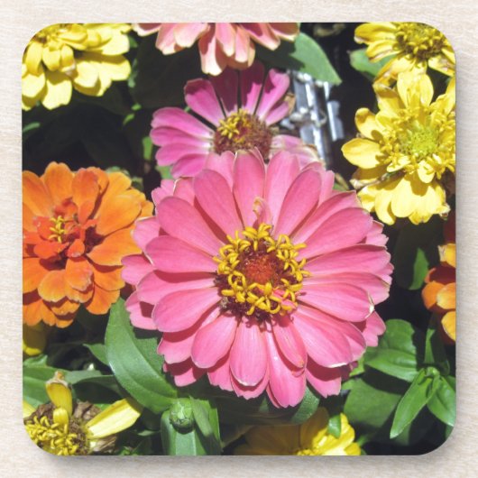 Dessous-de-verre Fleurs colorées (Devant)