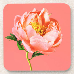 Dessous-de-verre Fleurs Coral Peony Blossom