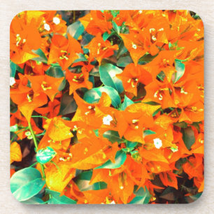 Dessous-de-verre Fleurs de bougainvillée orange vibrant