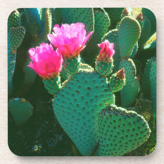Dessous-de-verre Fleurs de Cactus Beavertail (Devant)