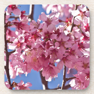 Dessous-de-verre Fleurs de cerisier Sakura Étoiles rouges
