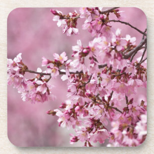 Dessous-de-verre Fleurs de Cerisier Sakura Pastel Rose Calquees