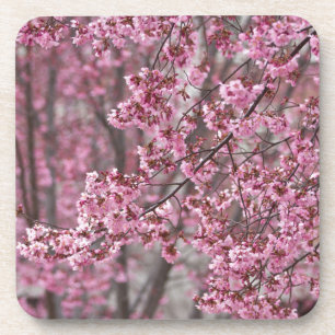Dessous-de-verre Fleurs de cerisier Sakura rose flottant