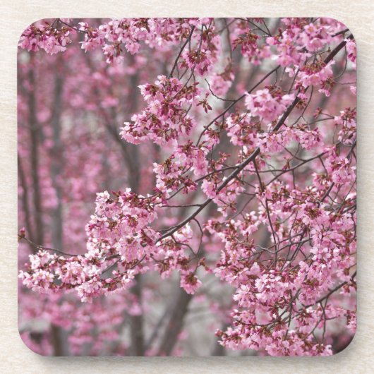 Dessous-de-verre Fleurs de cerisier Sakura rose flottant (Devant)