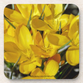 Dessous-de-verre Fleurs de Crocus Jaune (Devant)