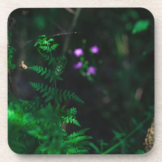 Dessous-de-verre Fleurs de forêts sauvages pourpres (Devant)