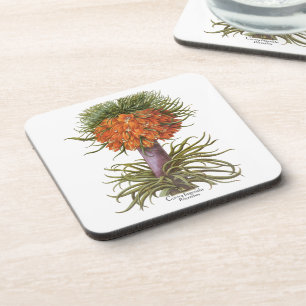Dessous-de-verre Fleurs de Fritillaire Orange Vintage Basilius Besl