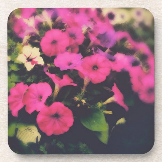 Dessous-de-verre Fleurs de magasin d'alimentation (Devant)