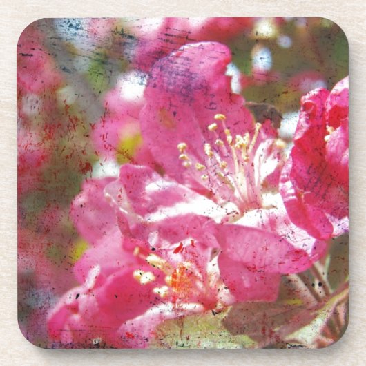 Dessous-de-verre Fleurs de pommes de terre (Devant)