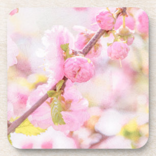 Dessous-de-verre Fleurs de sakura roses - Fleur de cerisier japonai