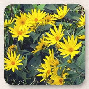 Dessous-de-verre Fleurs de topinambour