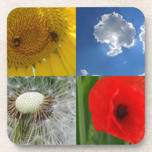 Dessous-de-verre Fleurs d'été amusantes