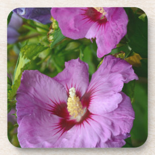 Dessous-de-verre Fleurs d'hibiscus pourpres