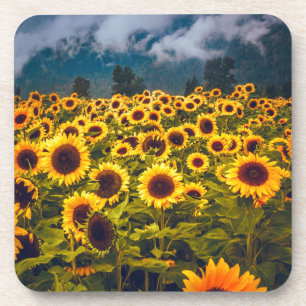 Dessous-de-verre Fleurs du paysage du terrain de tournesol Jaune