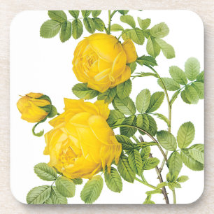 Dessous-de-verre Fleurs Florales Vintage, Roses Jaunes par Redoute