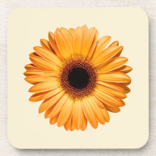Dessous-de-verre Fleurs Orange Gerbera
