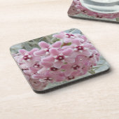 Dessous-de-verre Fleurs Plantes roses Hoya Floral (Côté gauche)