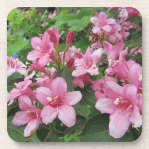 Dessous-de-verre Fleurs roses d'Allemagne