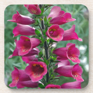Dessous-de-verre Fleurs roses de renard
