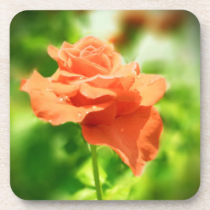 Dessous-de-verre Fleurs Roses romantiques #2