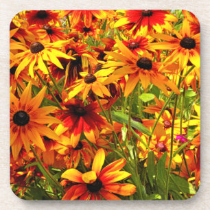 DESSOUS-DE-VERRE FLEURS RUDBECKIA