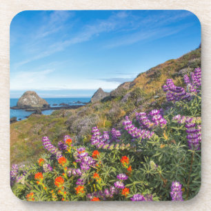 Dessous-de-verre Fleurs sauvages De Lupine Et De Peinture