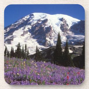 Dessous-de-verre fleurs sauvages estivales au pied du mont Rainier,
