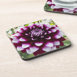 Dessous-de-verre Floral Dahlia rose et blanc