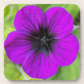 Dessous-de-verre Floral de Cranesbill pourpre Geranium (Devant)