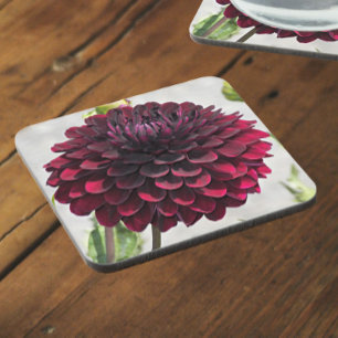 Dessous-de-verre Floral de dahlia rouge foncé