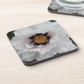 Dessous-de-verre Floral de pivoine d'arbre blanc (Côté gauche)