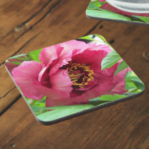 Dessous-de-verre Floral de pivoine de l'arbre rouge