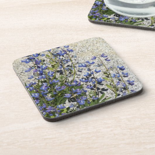 Dessous-de-verre Floral pourpre subalpine Lupine (Côté gauche)