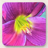 Dessous-de-verre Floral rose Daylily (Devant)