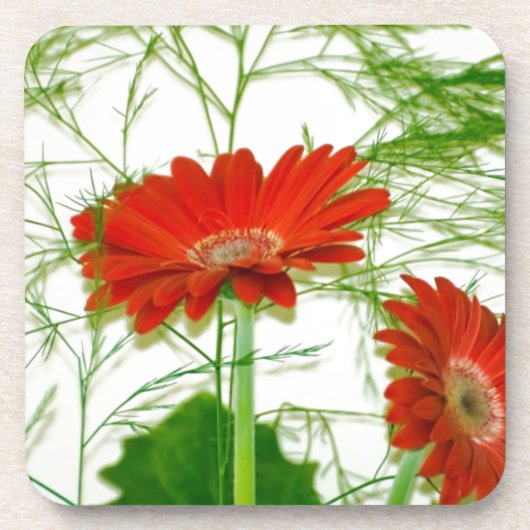 Dessous-de-verre Floral rouge (Devant)