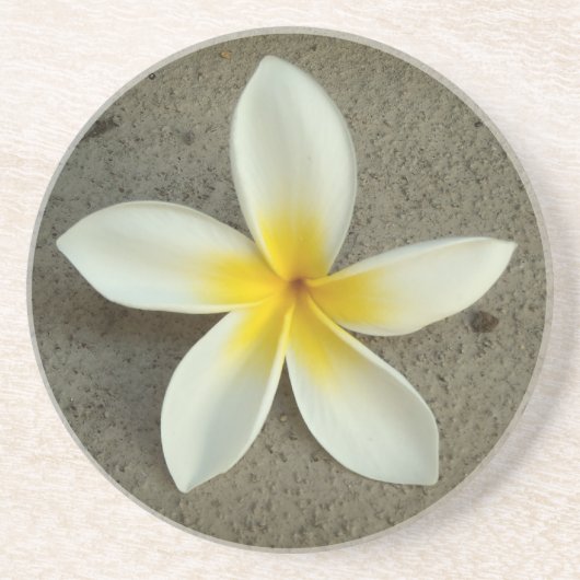 Dessous de verre floraux de Plumeria hawaii (Devant)