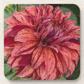 Dessous-de-verre Flore de Dahlia Variée Rouge (Devant)