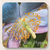 Dessous-de-verre Flore de fleurs de crapaud bleu (Devant)