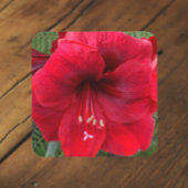 Dessous-de-verre Flore rouge Amaryllis