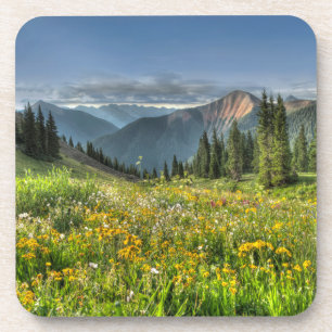 Dessous-de-verre Flowers (homonymie) Wildflowers Silverton Colora