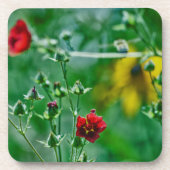 Dessous-de-verre Fly-By dans le jardin (Devant)