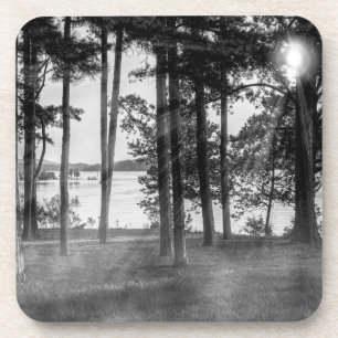 Dessous-de-verre Foggy Arbres À Niveaux De Gris De Table Rock